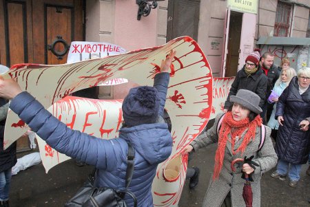 Акция протеста у одесского цирка (фоторепортаж)