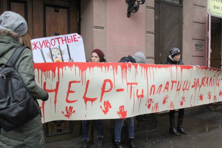 Акция протеста у одесского цирка (фоторепортаж)