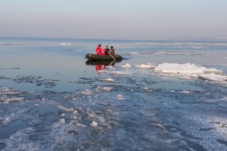 В Одесской области четверых детей спасли с дрейфующей льдины (фото)