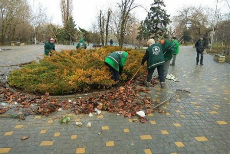 Городские парки и скверы очищают от прошлогодней листвы