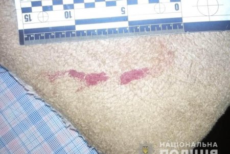 В Одесской области мужчины обиделись на односельчанина и ворвались к нему в дом с ножом (фото)