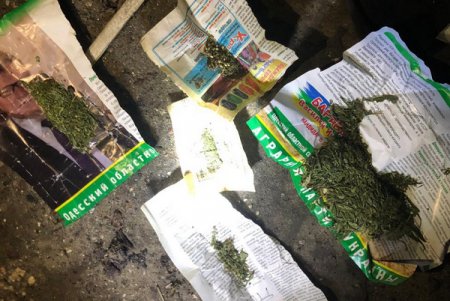 Под Одессой мужчина хранил дома наркотики и взрывчатку (фото)
