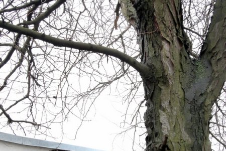 Без Скрябина: одесситы почтили память Андрея Кузьменко (фоторепортаж)