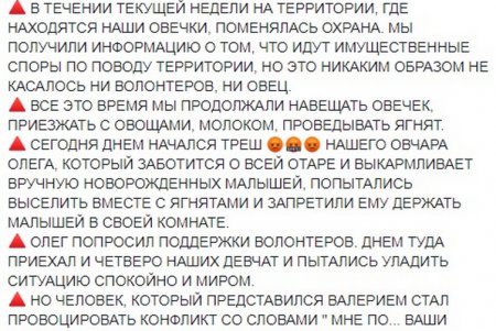 Захват многострадальных овец: зоозащитникам удалось зайти в загон (фото, видео)