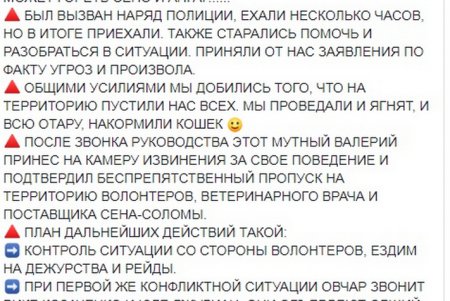 Захват многострадальных овец: зоозащитникам удалось зайти в загон (фото, видео)