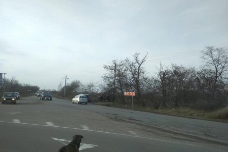 ДТП на Старолюстдорфской дороге: водитель говорил по телефону за рулем (фото)