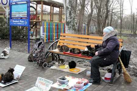 Лузановка — это не только море… (фоторепортаж) 