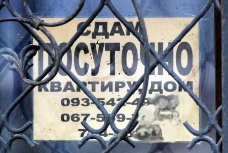 Лузановка — это не только море… (фоторепортаж) 