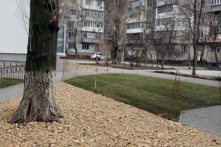 Лузановка — это не только море… (фоторепортаж) 