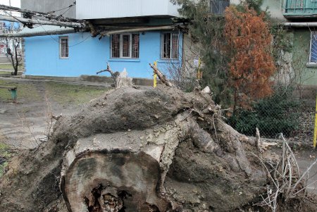 Лузановка — это не только море… (фоторепортаж) 