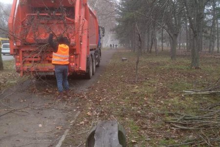 Олимпийский сквер на проспекте Шевченко преобразится к началу весны