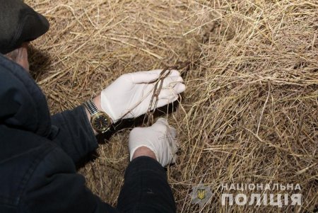 Умер от удушья: в Одесской области ребенок, играя во дворе, запутался в цепях