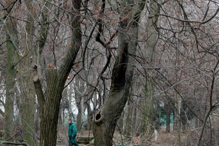 Олимпийский сквер в Одессе преобразится к началу весны (фоторепортаж)