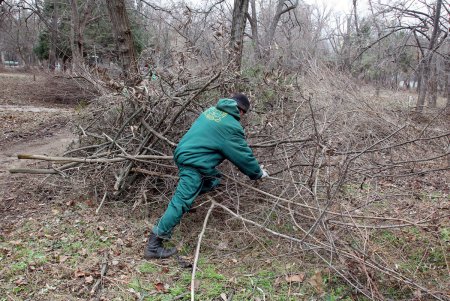 Олимпийский сквер в Одессе преобразится к началу весны (фоторепортаж)