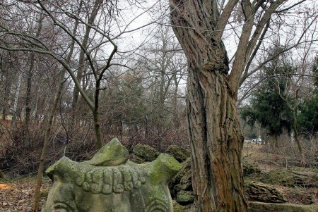 Олимпийский сквер в Одессе преобразится к началу весны (фоторепортаж)