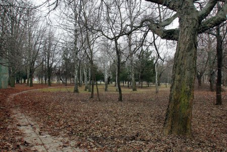 Олимпийский сквер в Одессе преобразится к началу весны (фоторепортаж)