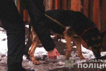 Служебные собаки в 2018 году помогли одесским полицейским раскрыть более тысячи преступлений (фото, видео)