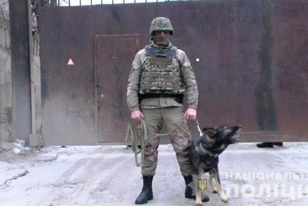 Служебные собаки в 2018 году помогли одесским полицейским раскрыть более тысячи преступлений (фото, видео)