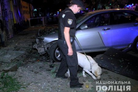 Служебные собаки в 2018 году помогли одесским полицейским раскрыть более тысячи преступлений (фото, видео)