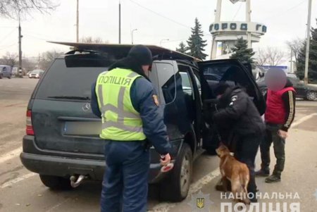 Служебные собаки в 2018 году помогли одесским полицейским раскрыть более тысячи преступлений (фото, видео)