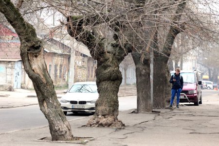 Ближняя Молдаванка (фоторепортаж)