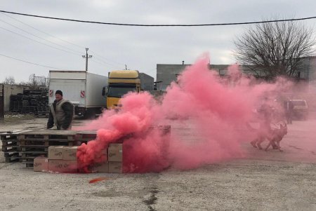 В Одессе готовят специальных служебных собак (фото, видео)
