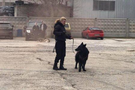 В Одессе готовят специальных служебных собак (фото, видео)