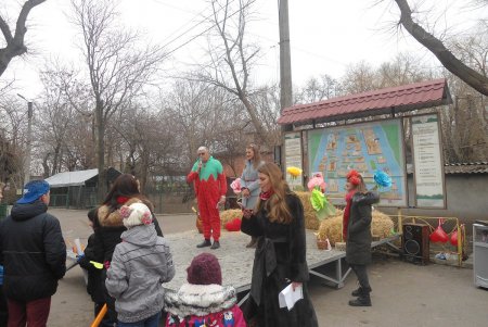 Одесситы неохотно проголосовали за козлов и баранов (фото)