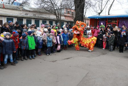 Одесситы встретили Китайский Новый год (фоторепортаж)