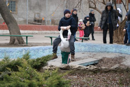 Одесситы встретили Китайский Новый год (фоторепортаж)