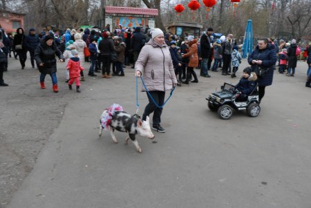 Одесситы встретили Китайский Новый год (фоторепортаж)