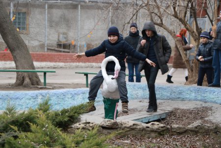 Одесситы встретили Китайский Новый год (фоторепортаж)