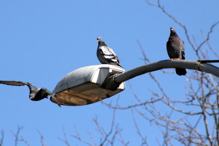 Прогулка по улице Колонтаевской (фоторепортаж)