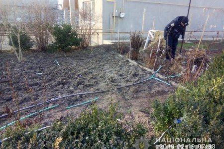 В Рени во дворе жилого дома взорвалась граната (фото)