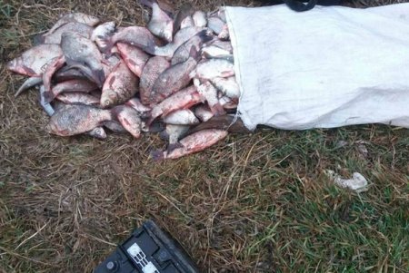 Браконьер ловил в Одесской области рыбу с помощью электросетей (фото)
