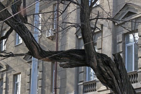 Прогулка по переулку у Кирхи (фоторепортаж)