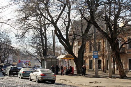 Прогулка по переулку у Кирхи (фоторепортаж)