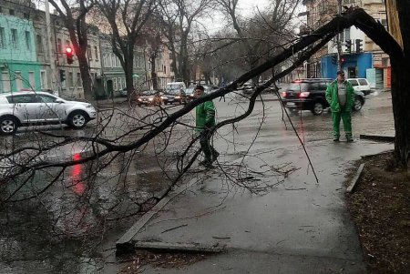 Одесситов просят оставаться дома: город покроется льдом
