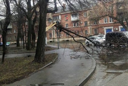 Одесситов просят оставаться дома: город покроется льдом