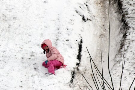 Зима в парке Победы (фоторепортаж)