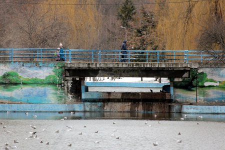Зима в парке Победы (фоторепортаж)
