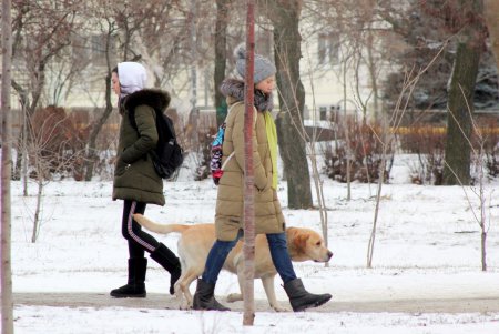 Зима в парке Победы (фоторепортаж)