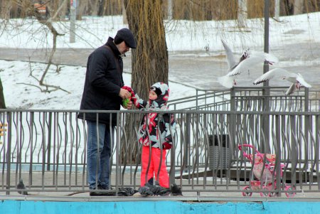 Зима в парке Победы (фоторепортаж)