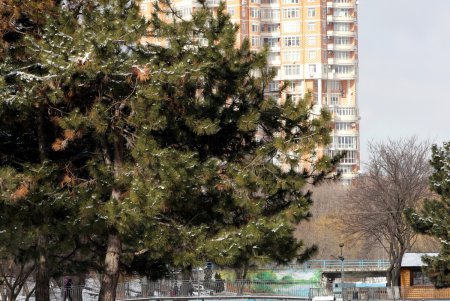 Зима в парке Победы (фоторепортаж)