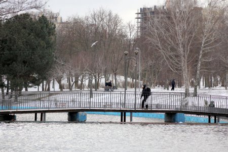 Зима в парке Победы (фоторепортаж)