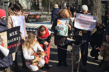 Животные - не одежда: одесситы провели антимеховую акцию (фото)