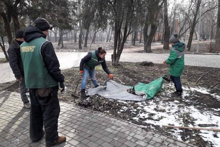 В Одессе выкорчевывают пни: на их месте высадят деревья (фото)