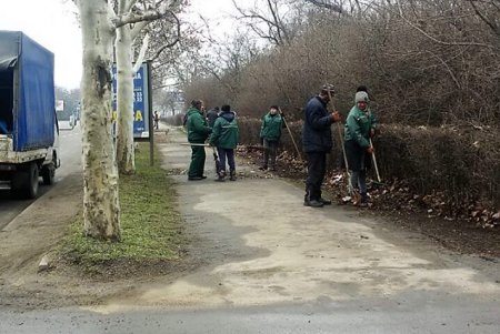 В Одессе выкорчевывают пни: на их месте высадят деревья (фото)