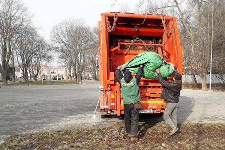 В Одессе выкорчевывают пни: на их месте высадят деревья (фото)