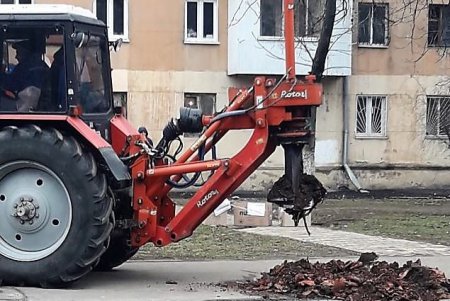В Одессе выкорчевывают пни: на их месте высадят деревья (фото)